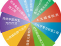 GX—B(高新袪白)多维白癜风康复工程的9大项目